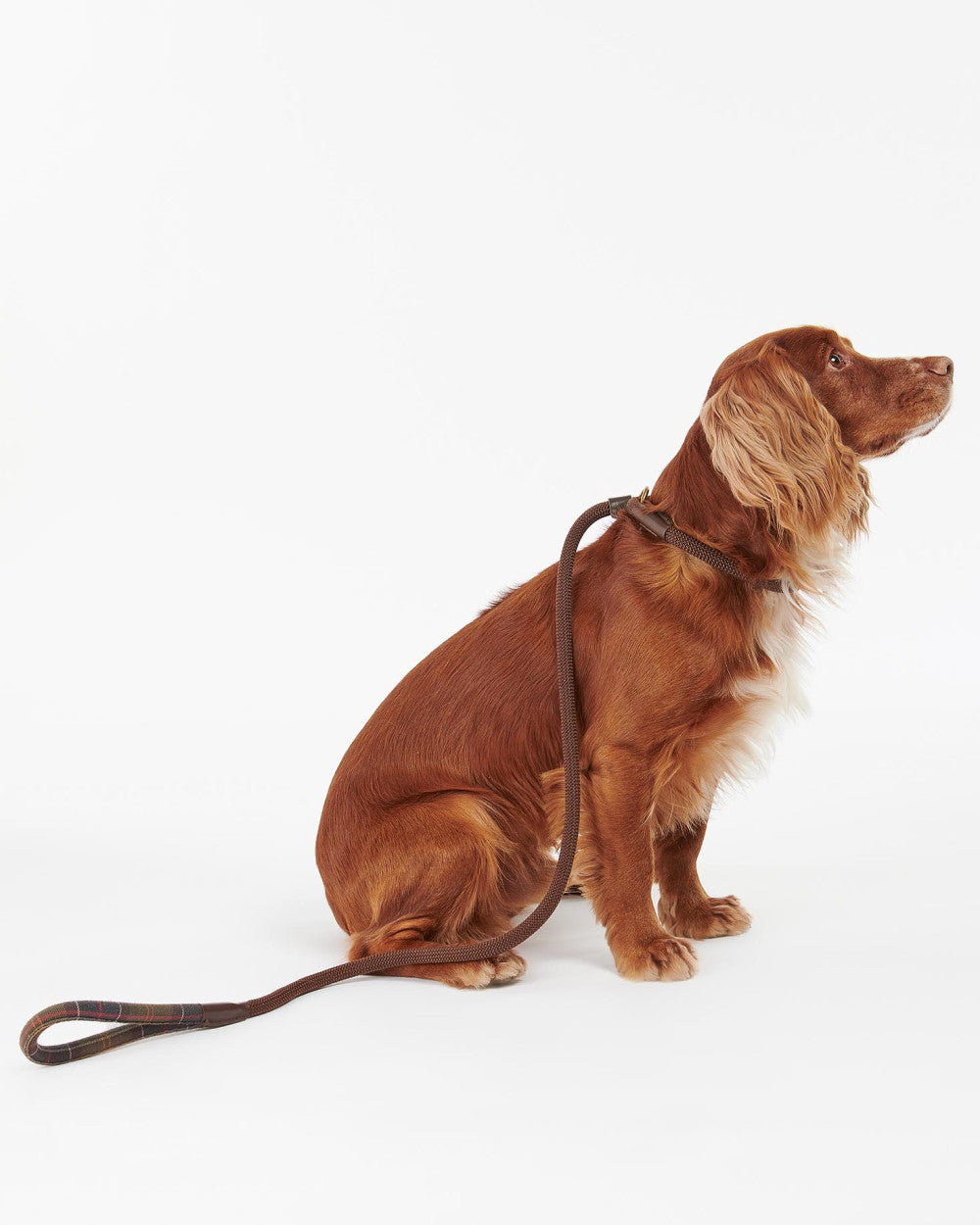 Barbour Tartan Trimmed Slip Dog Lead