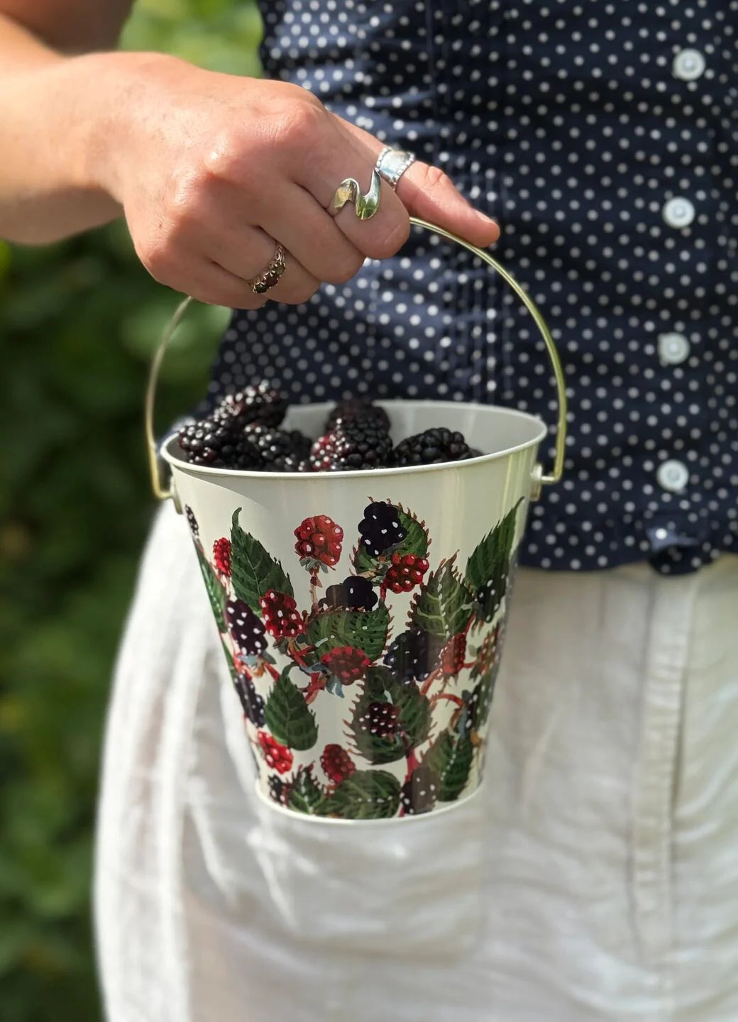 Blackberries Bucket