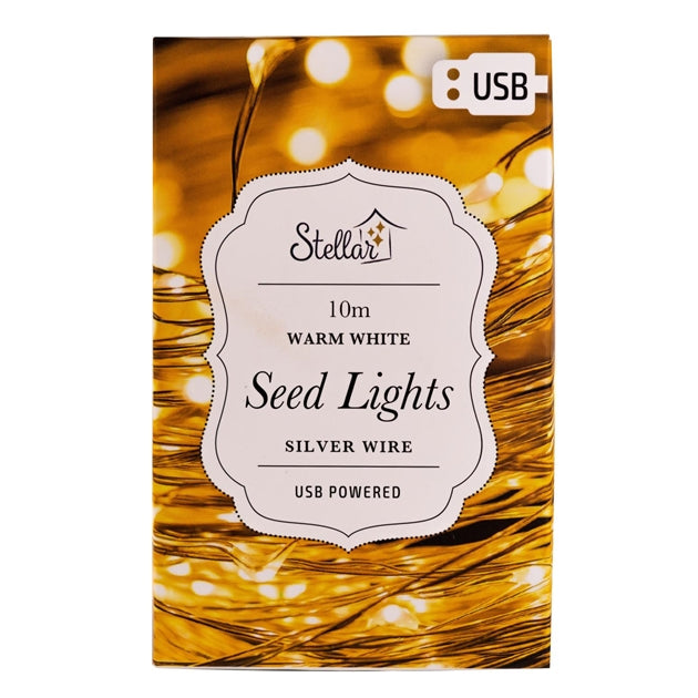 10M USB Silver Warm White 100LED Lights
