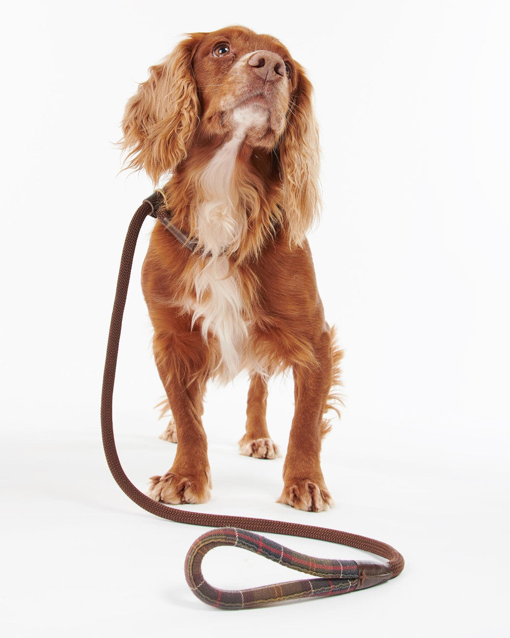 Barbour Tartan Trimmed Slip Dog Lead