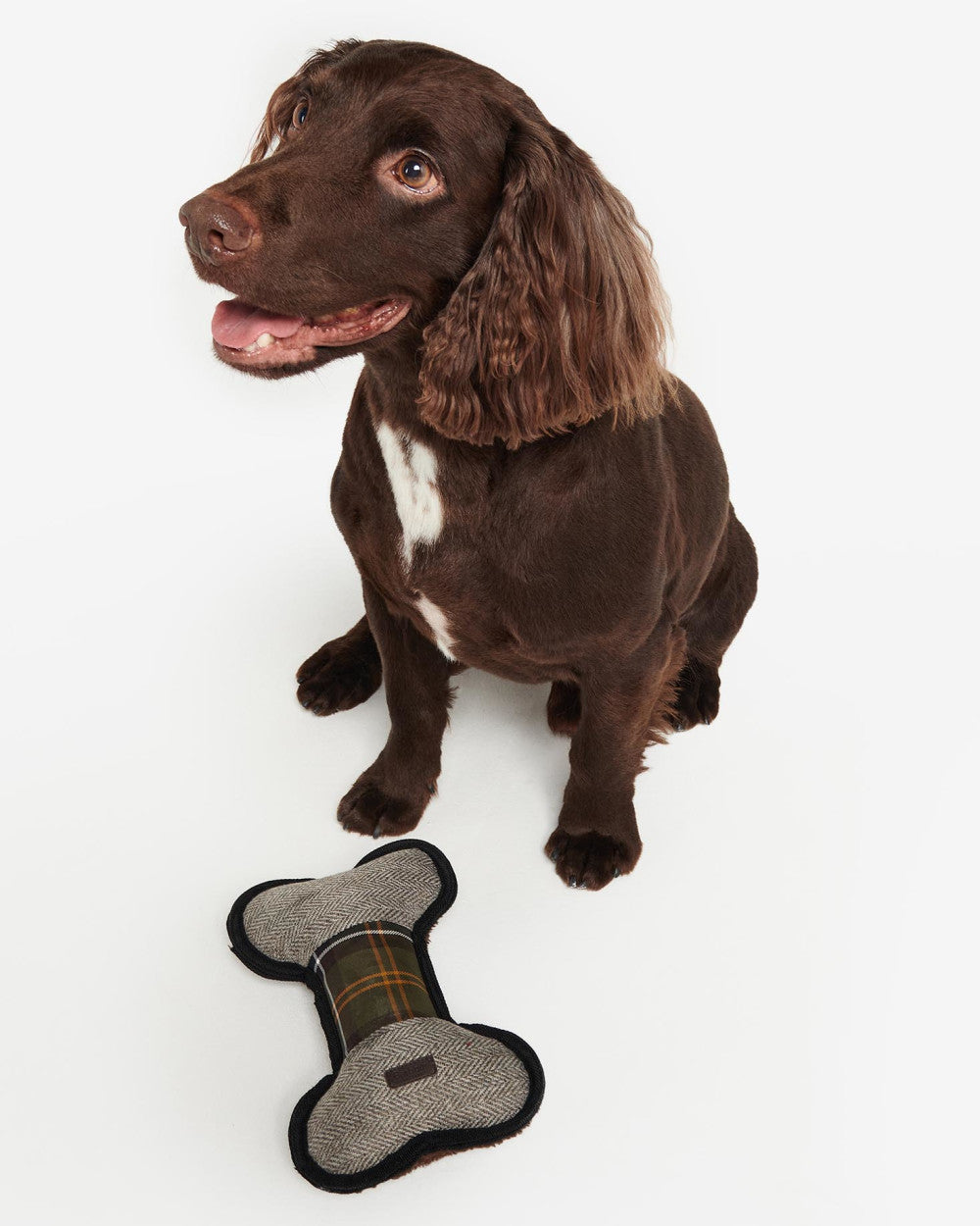 Barbour Bone Dog Toy