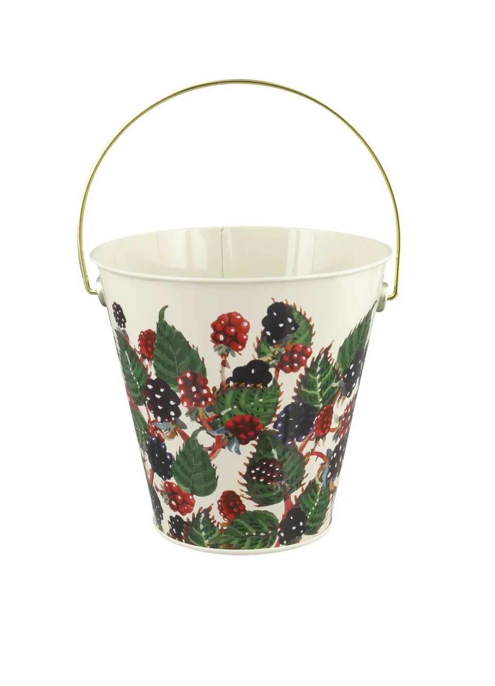 Blackberries Bucket