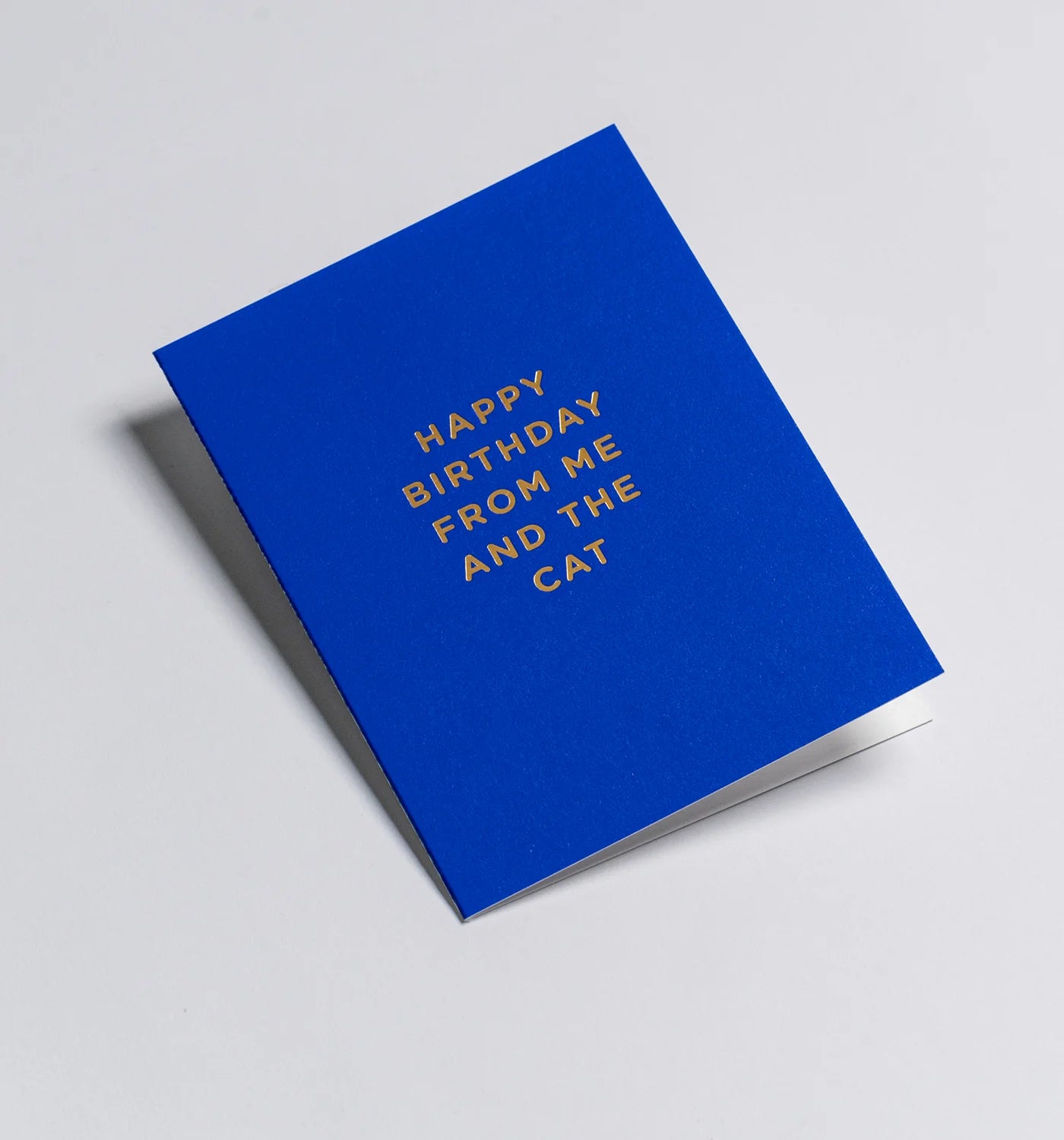 Happy Birthday From Me & The Cat - Mini Card