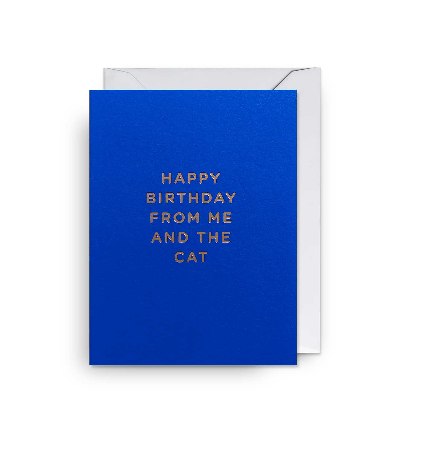 Happy Birthday From Me & The Cat - Mini Card