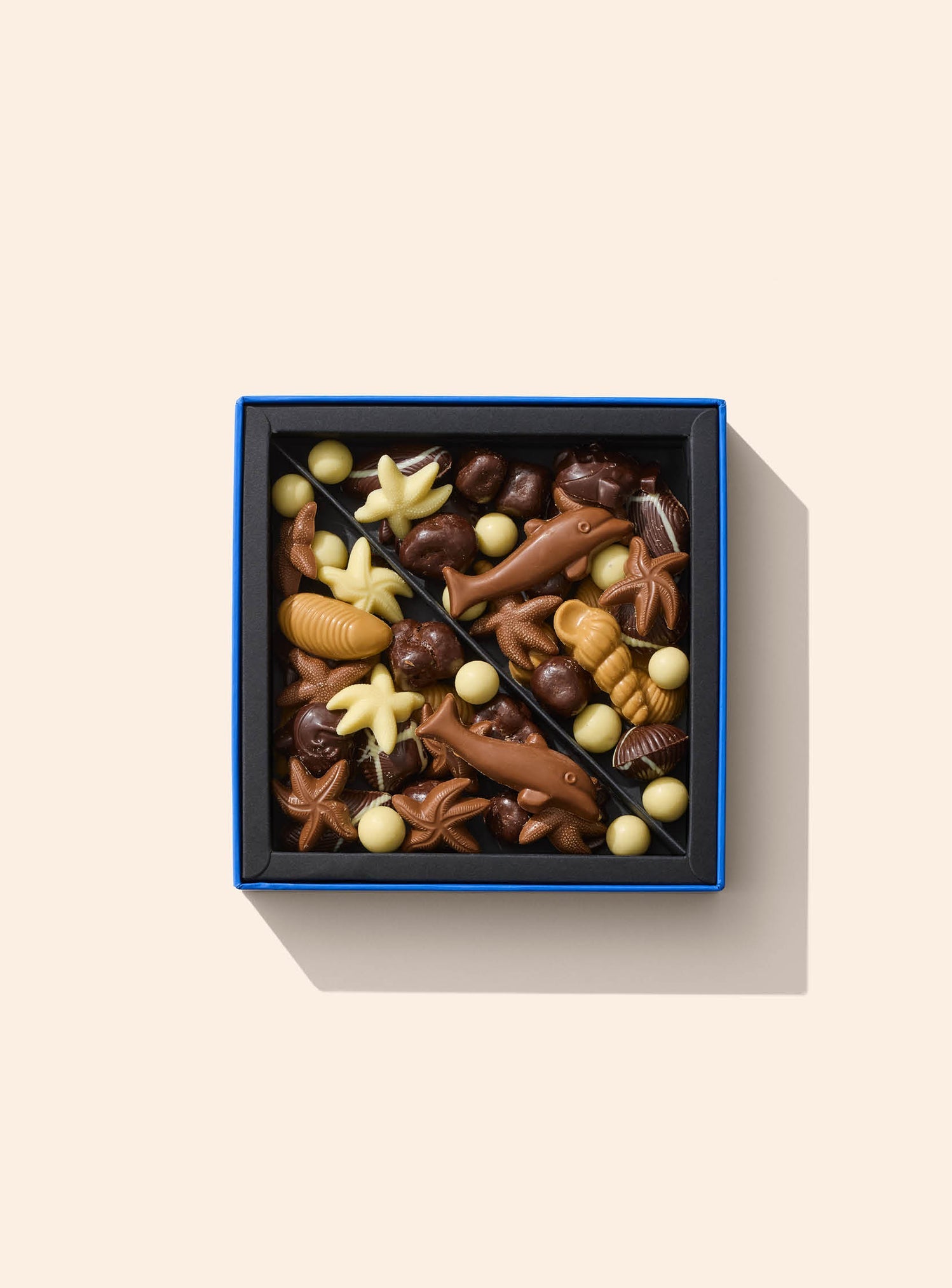 Christmas Edition Seashore Chocolate Collection