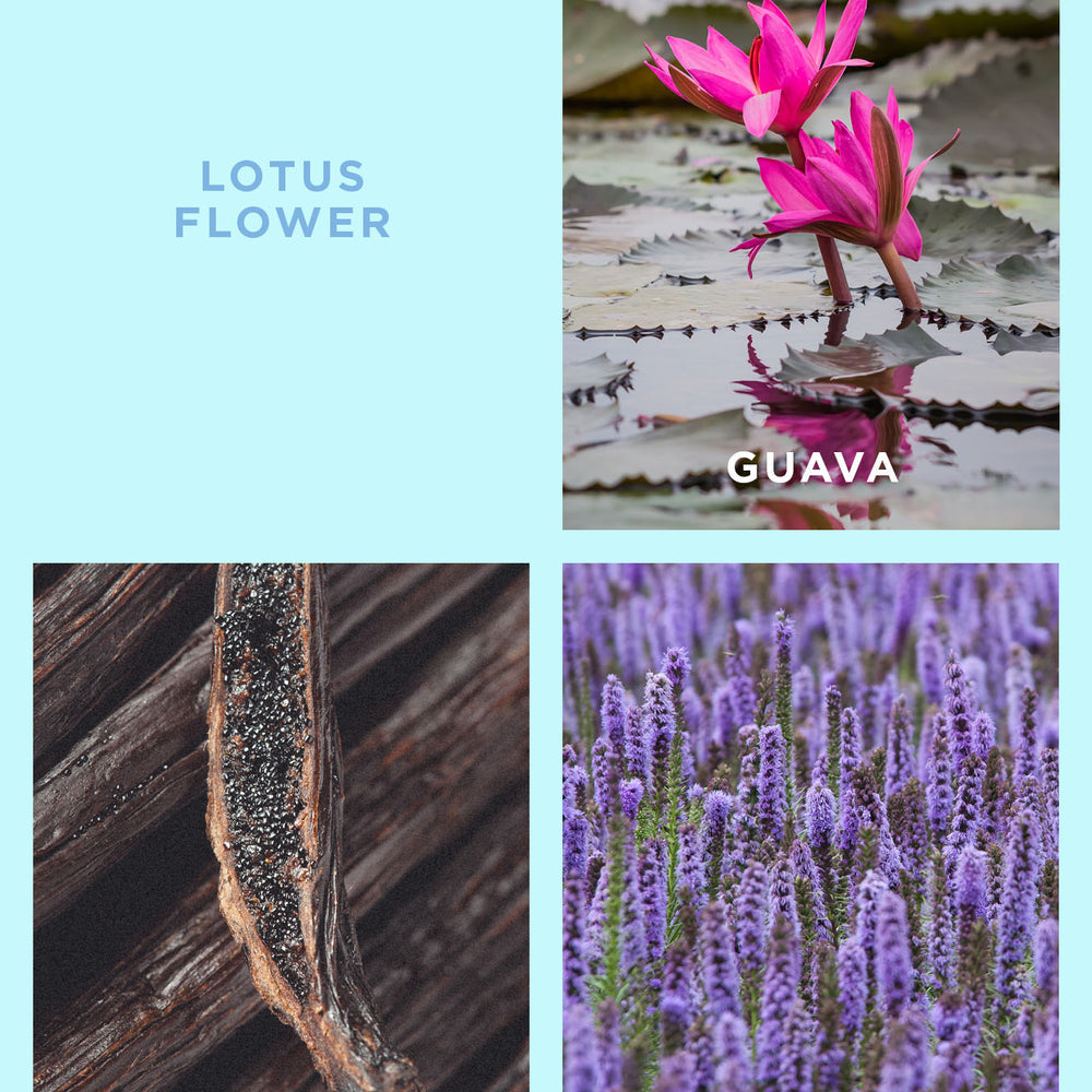Lotus Flower On Holiday Travel Gift Set