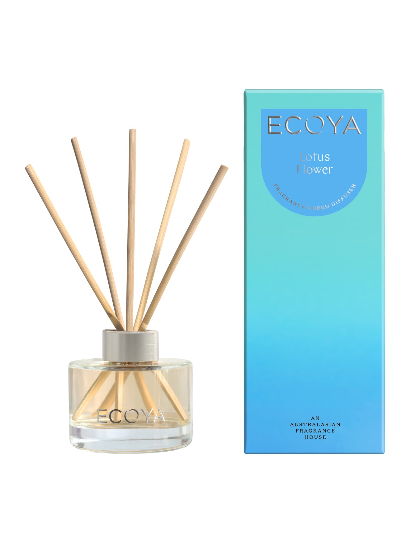 Mini Reed Diffuser 50ml