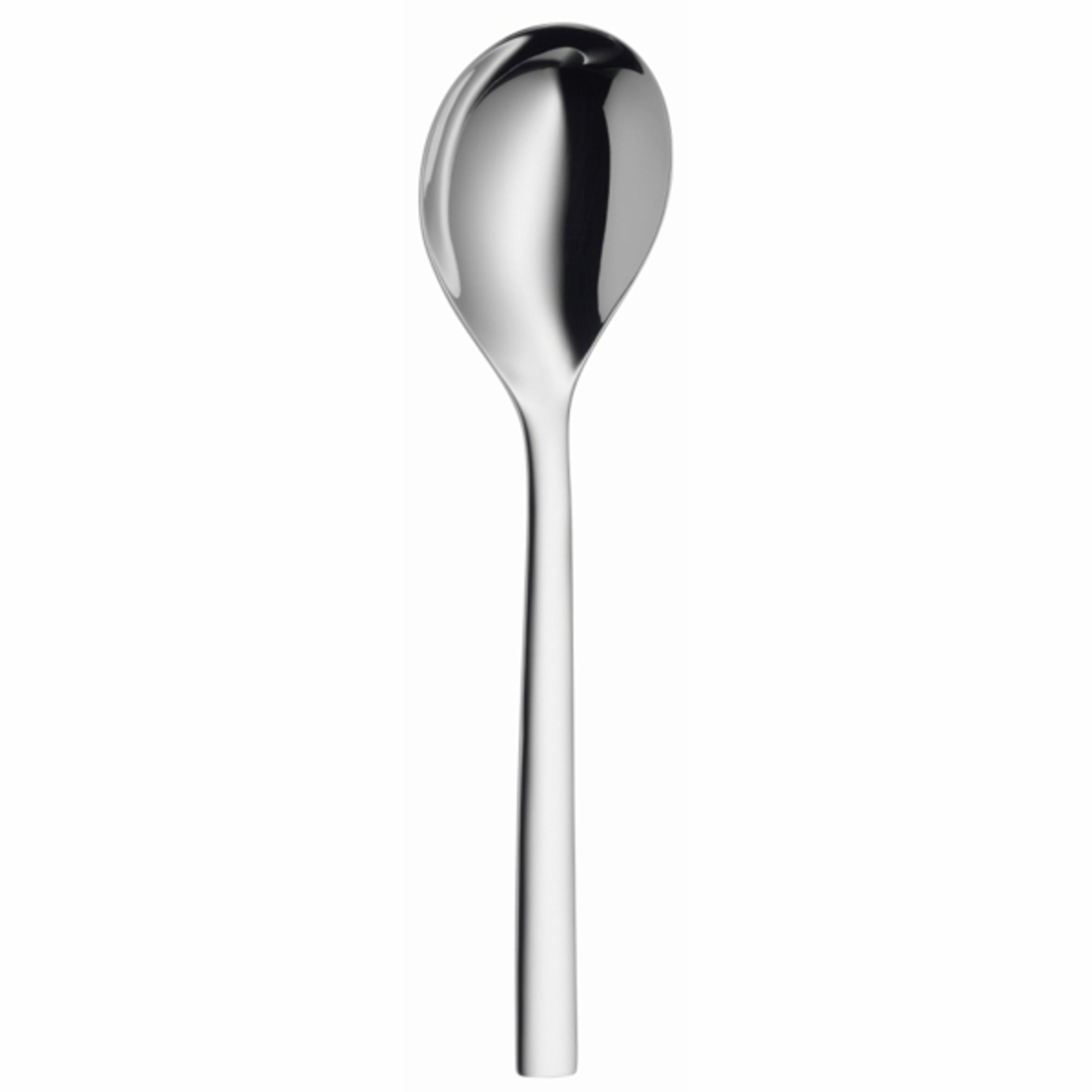 Nuova Serving Spoon 25cm
