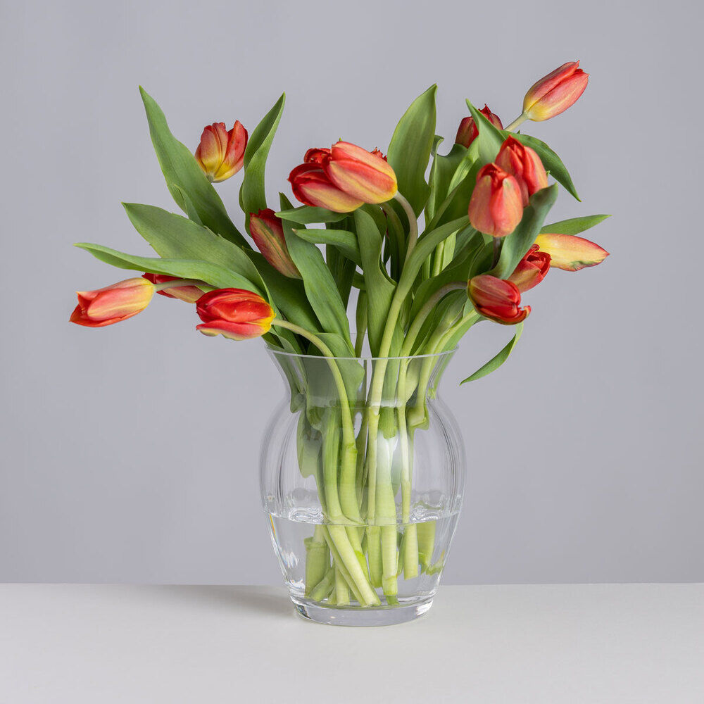 Florabundance Tulip Vase 18cm