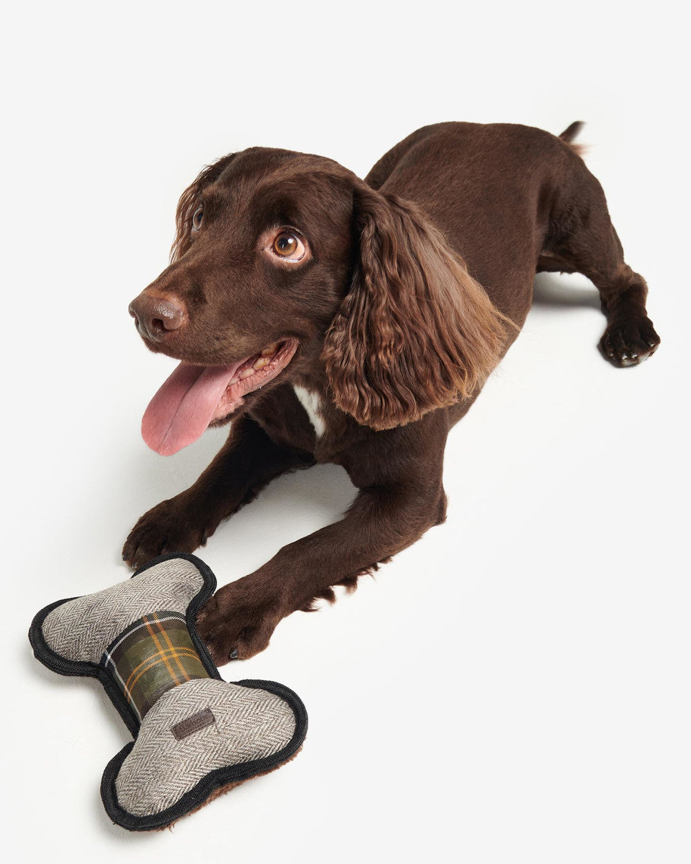 Barbour Bone Dog Toy