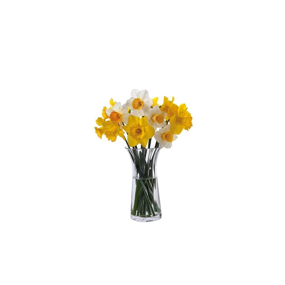 Florabundance Daffodil Vase 22cm