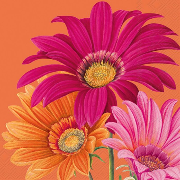 Joyful Gerbera Cocktail Napkins