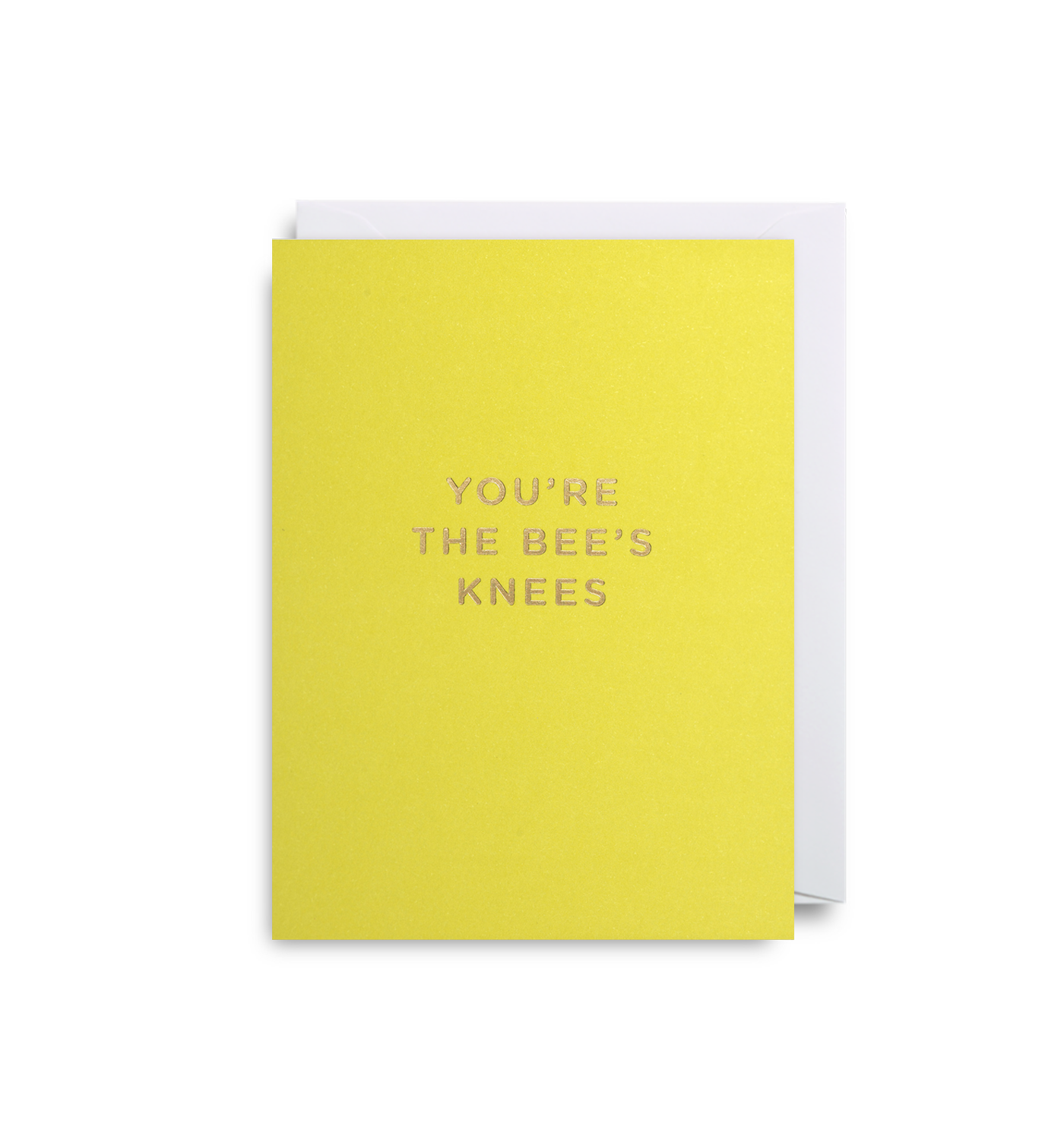 BLANK/ You're The Bees Knees