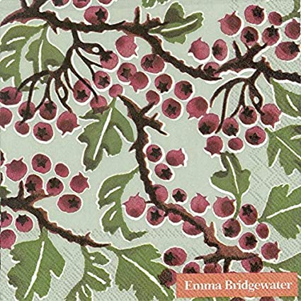 Emma Bridgewater Rowan Berries Cocktail Napkins