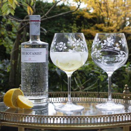 Gin Glasses-Set of 2
