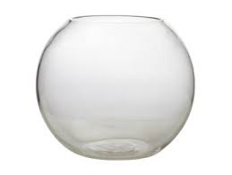 Fish Bowl Vase