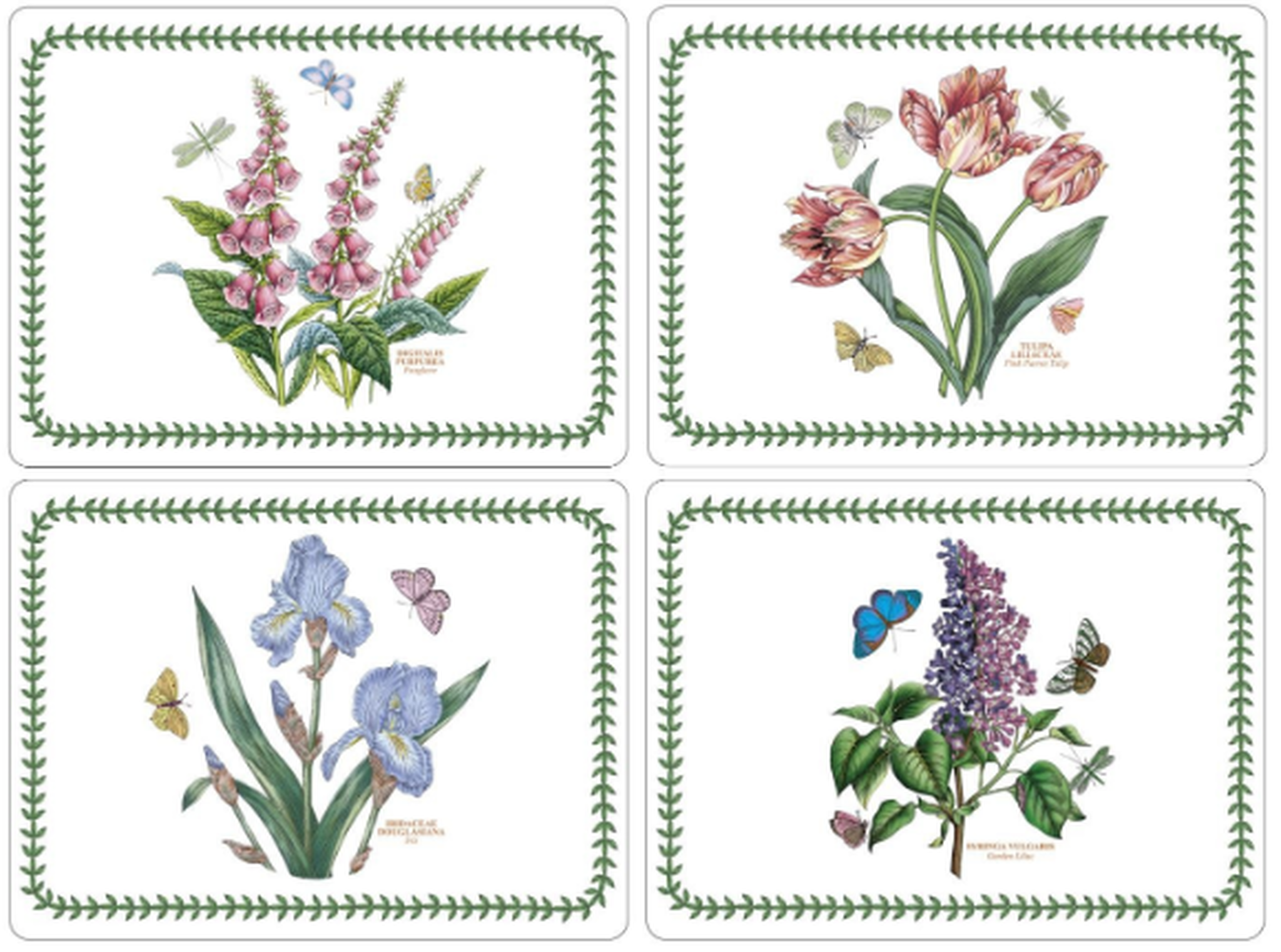 Botanic Garden Placemats Set of 4