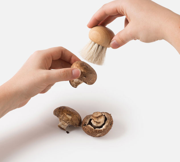 Mushroom Brush