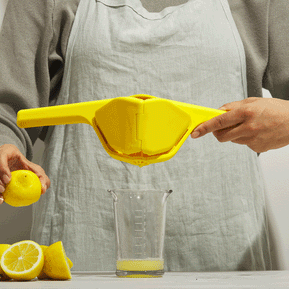 Lemon Fluicer
