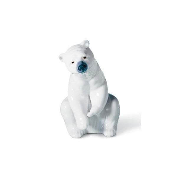 Polar Bear Resting