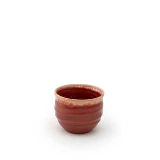 Tea Cup