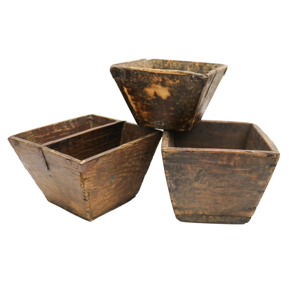 Rice Cup