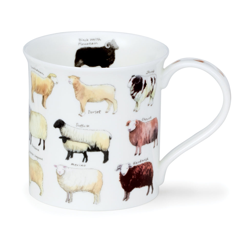 Sheep Breeds Mug