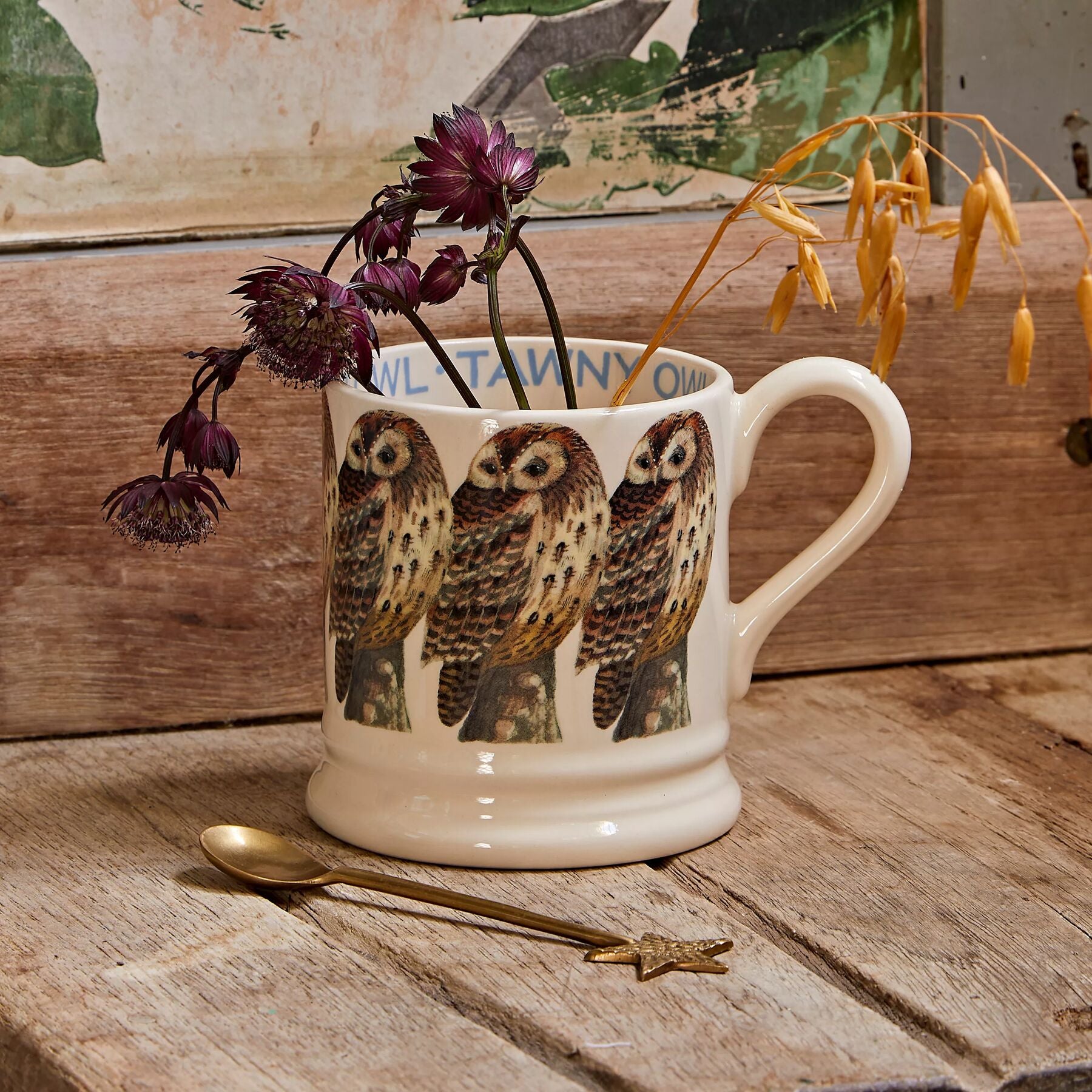 Half Pint Mug Tawny Owl