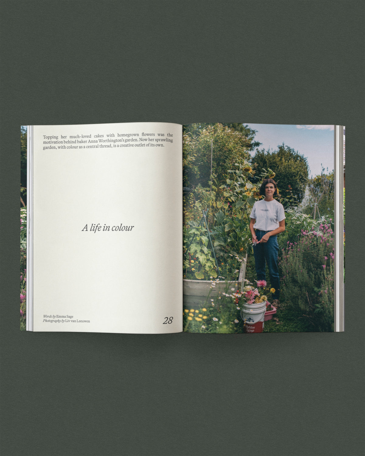 Sage Vol 1 Life Among Plants