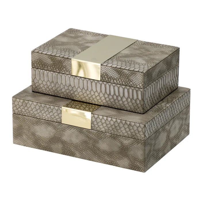 Snakeskin Box