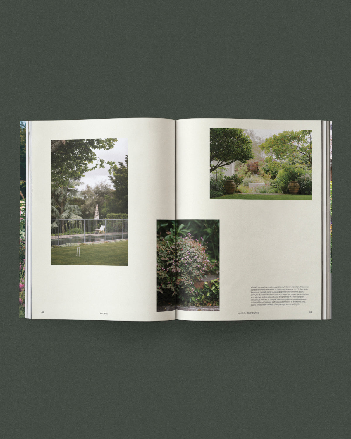 Sage Vol 1 Life Among Plants