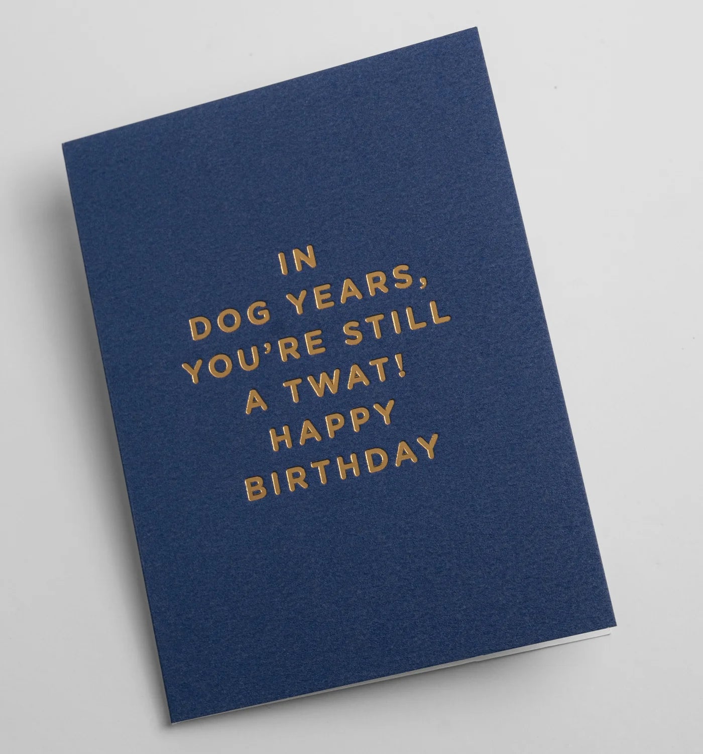 In Dog Years, You're Still A twat! Happy Birthday