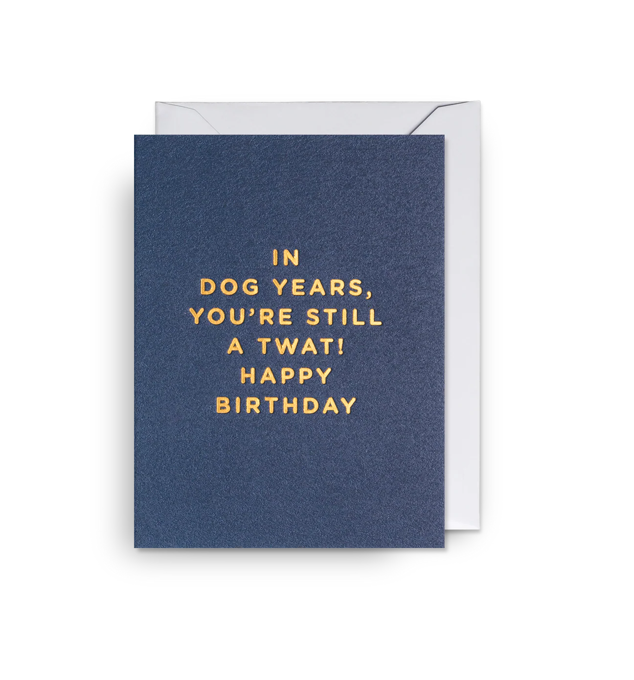 In Dog Years, You're Still A twat! Happy Birthday