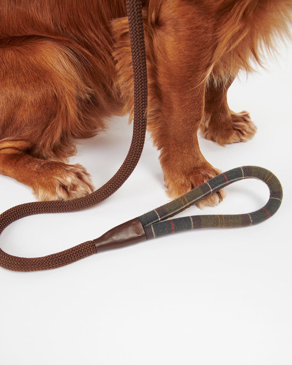 Barbour Tartan Trimmed Slip Dog Lead
