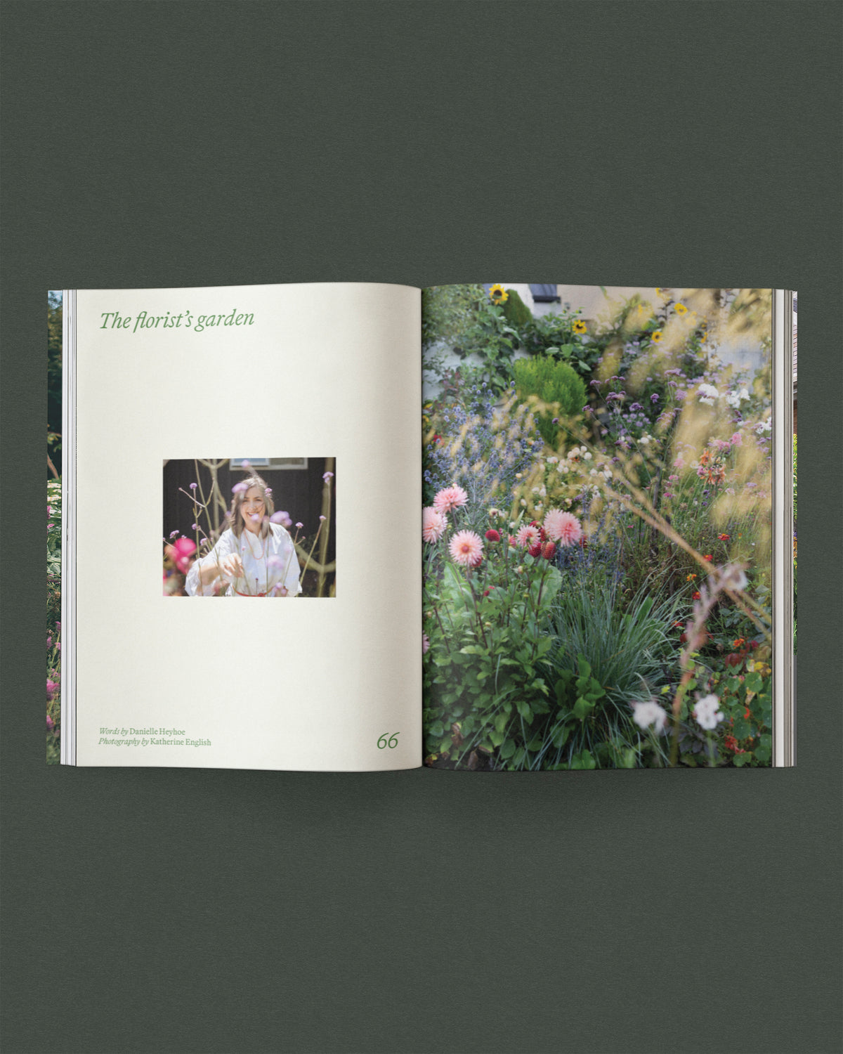 Sage Vol 1 Life Among Plants