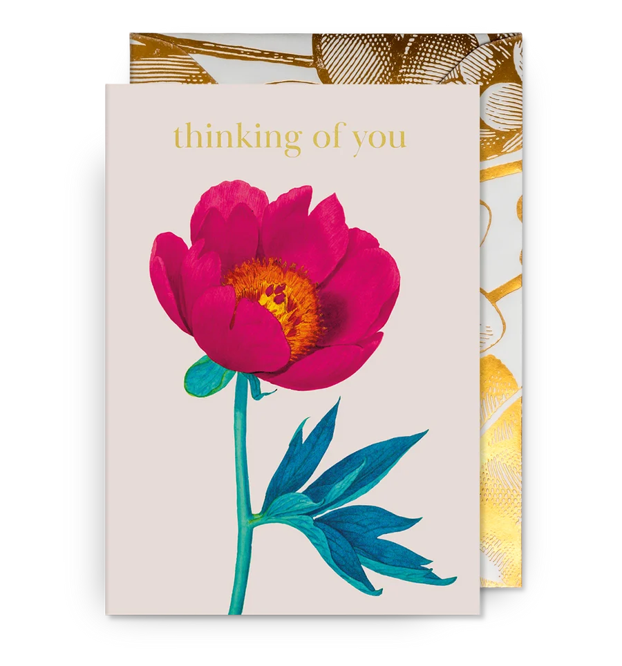 Thinking Of You Peony