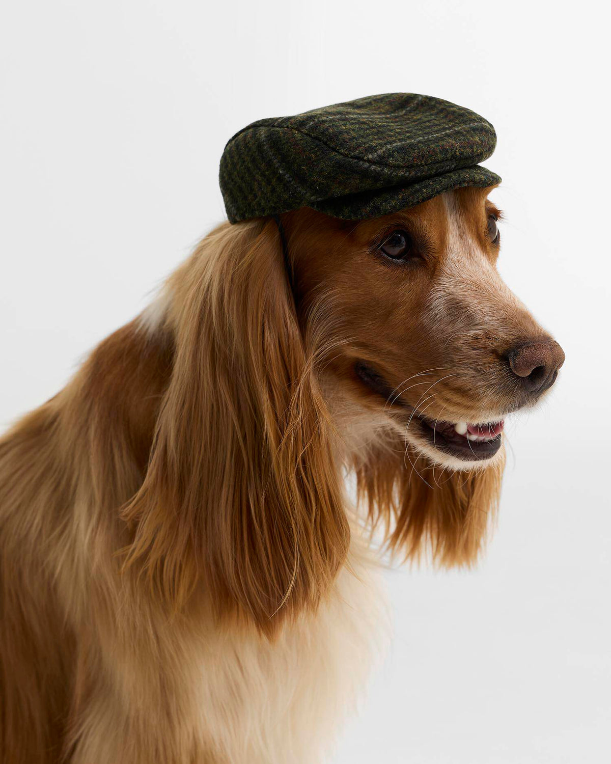 Barbour Wilkin Dog Flat Cap S/M