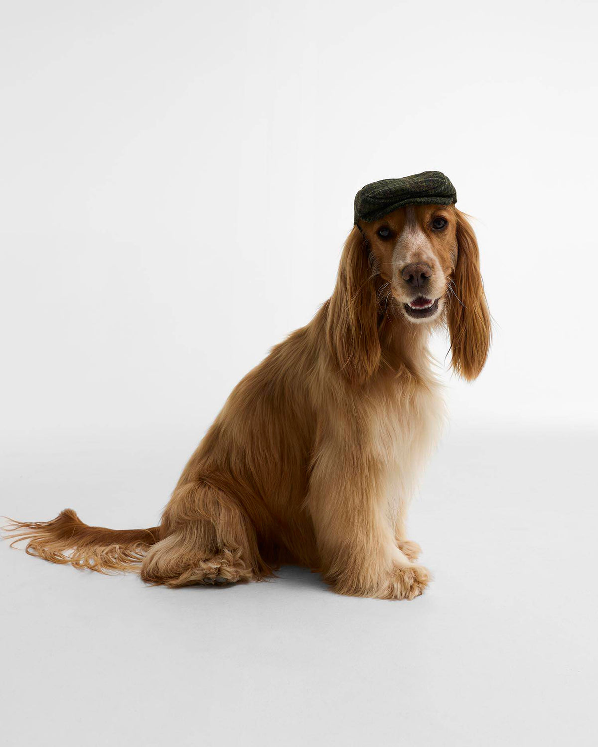 Barbour Wilkin Dog Flat Cap S/M