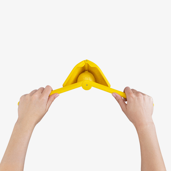 Lemon Fluicer