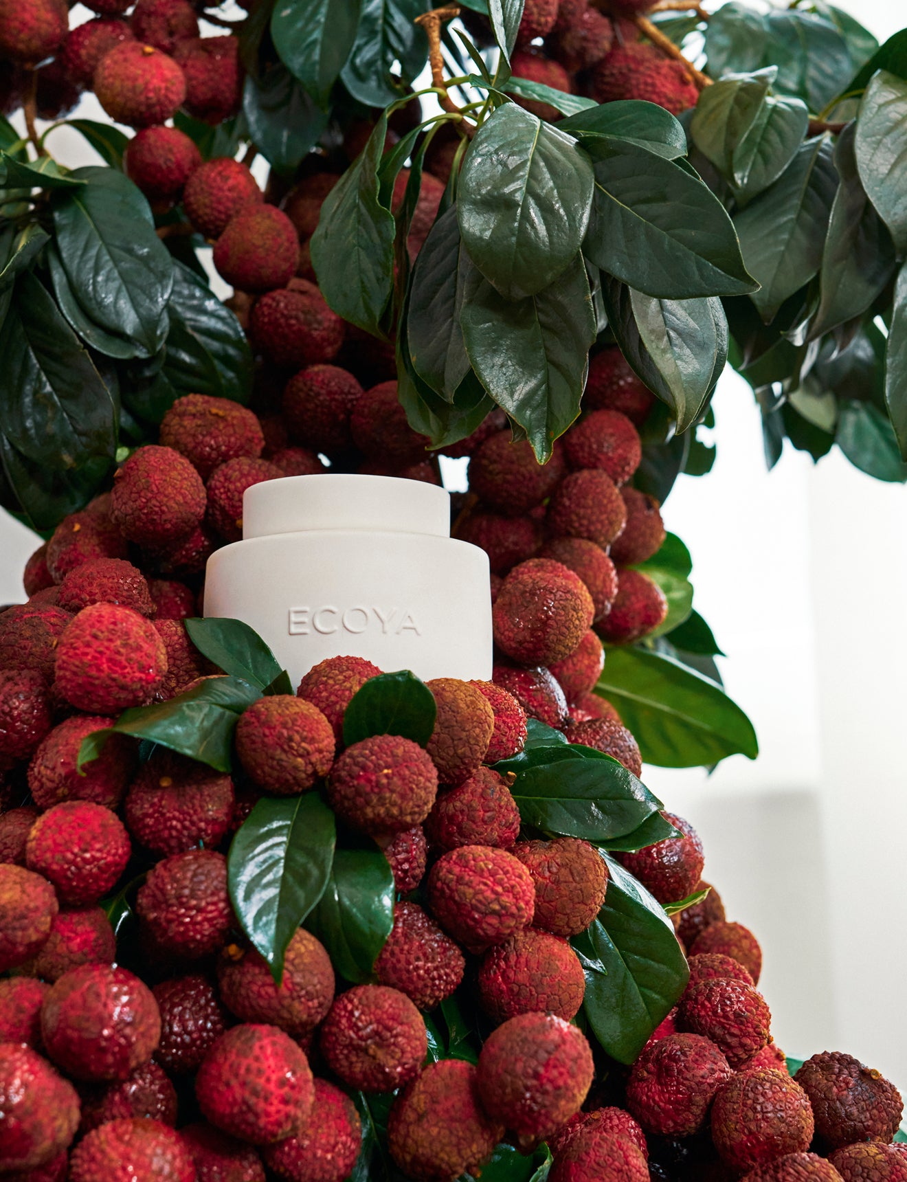 Soy Wax Melts Guava & Lychee Sorbet