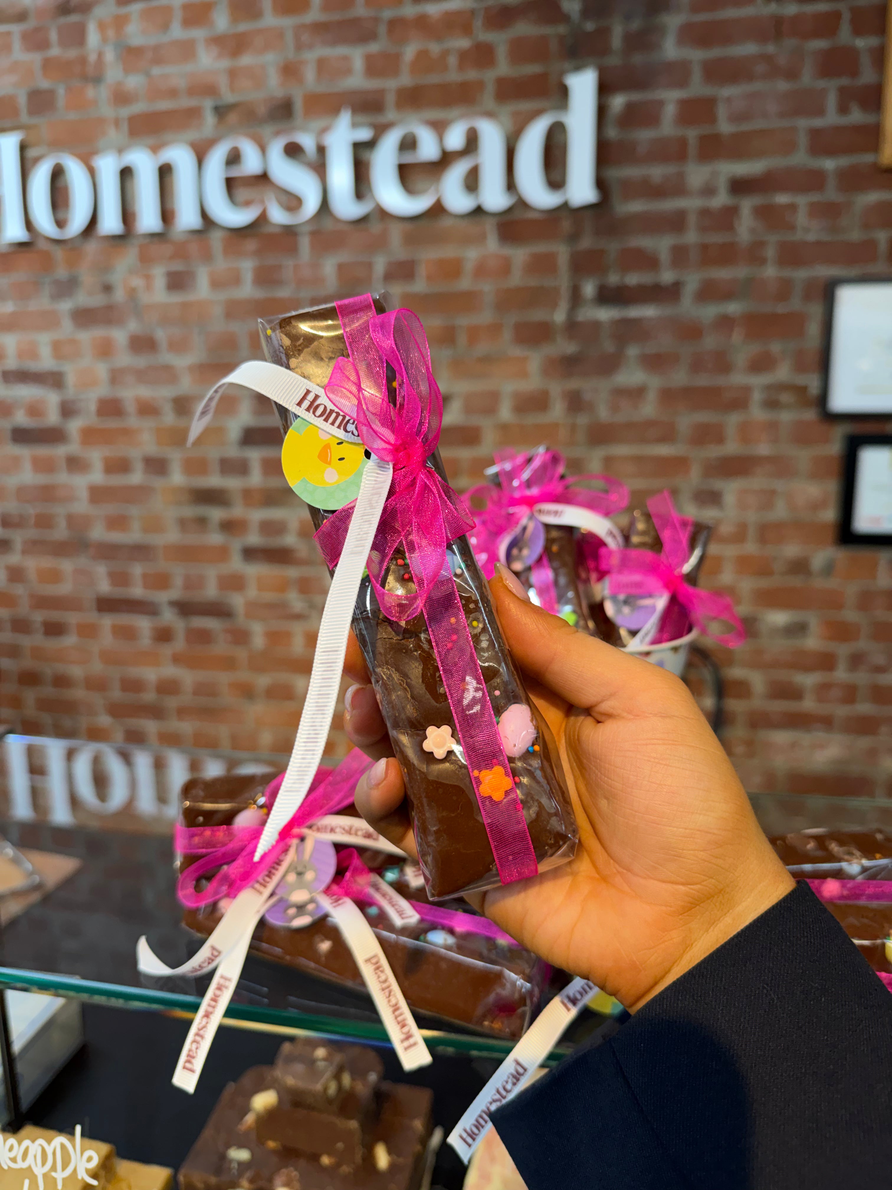 Easter Hunt Fudge Bars