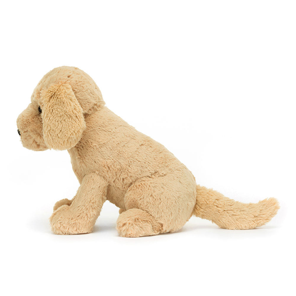 Tilly Golden Retriever Medium