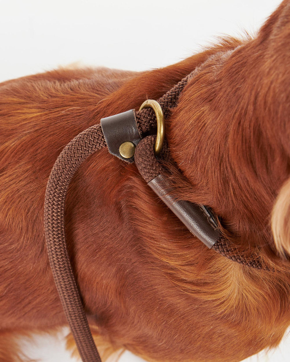 Barbour Tartan Trimmed Slip Dog Lead