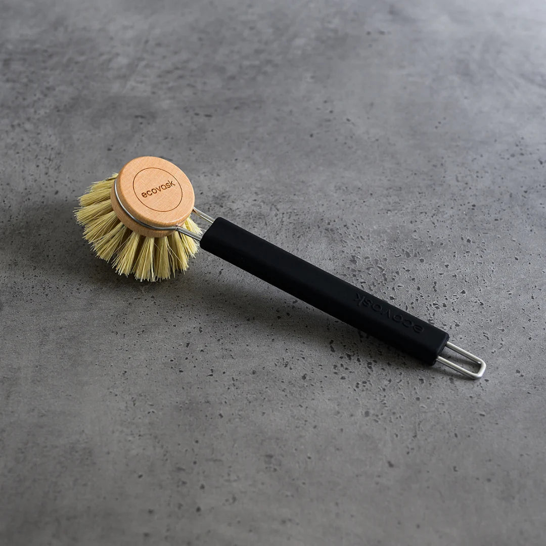 Dish Brush Tampico Black