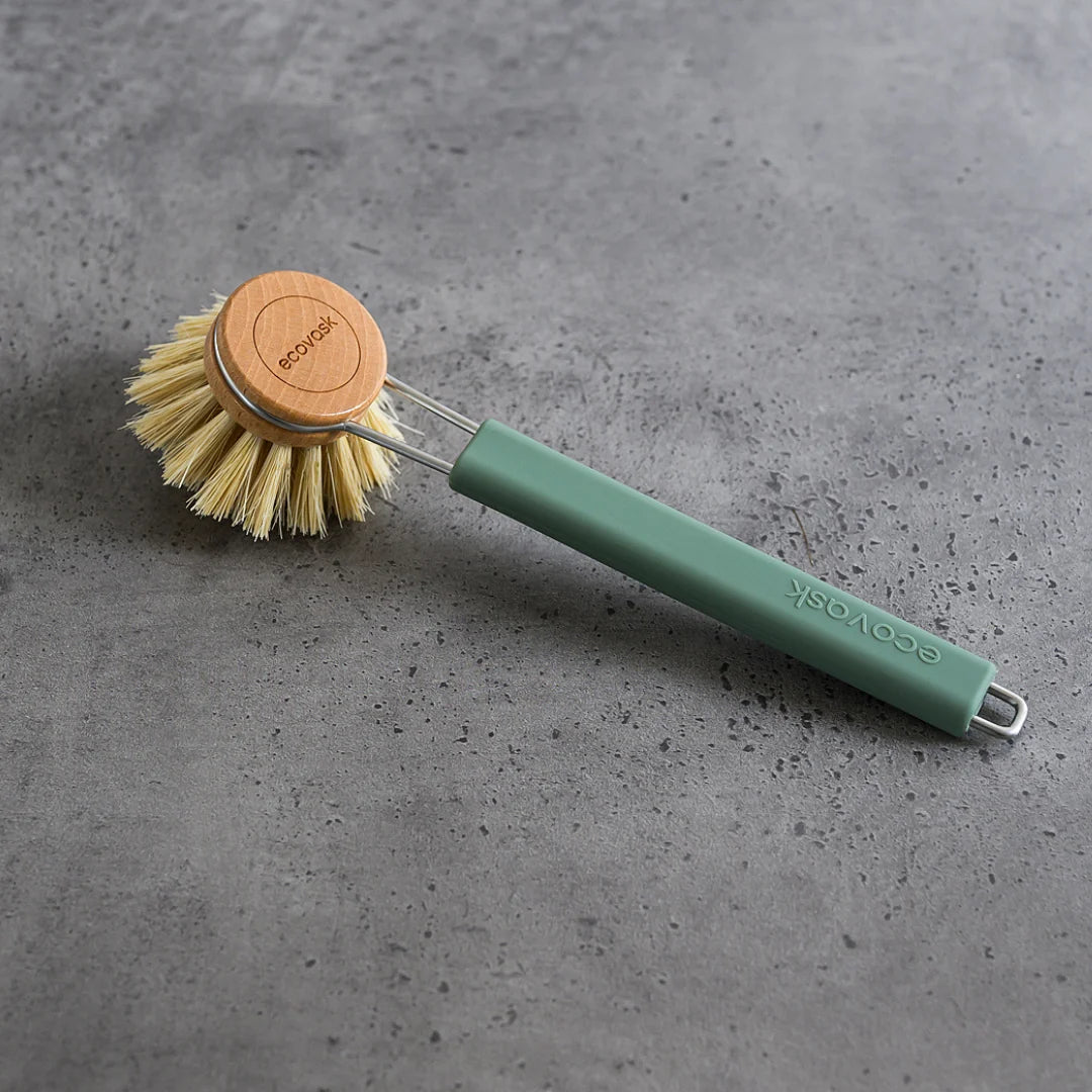 Dish Brush Tampico Sage