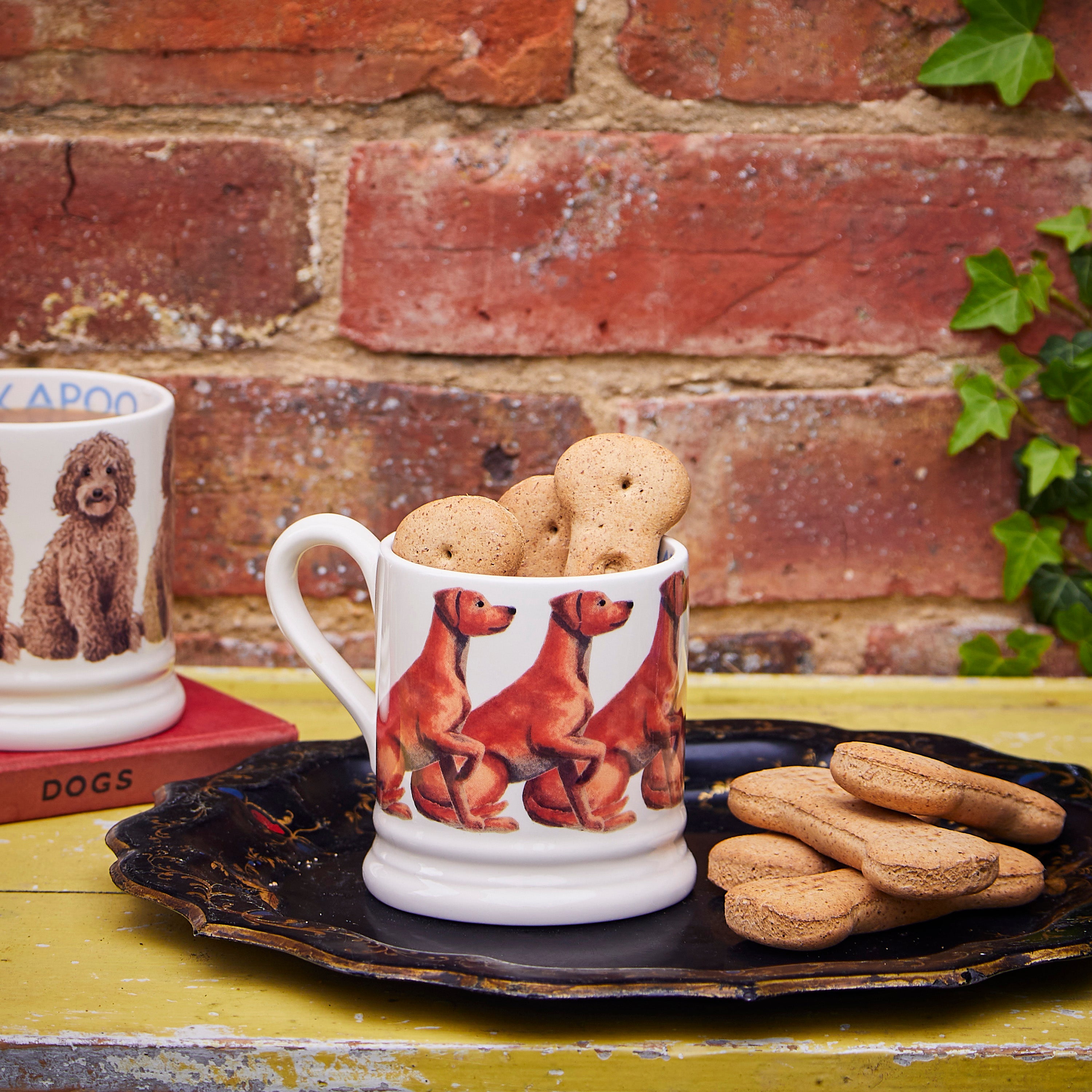 Half Pint Mug Fox Red Labrador