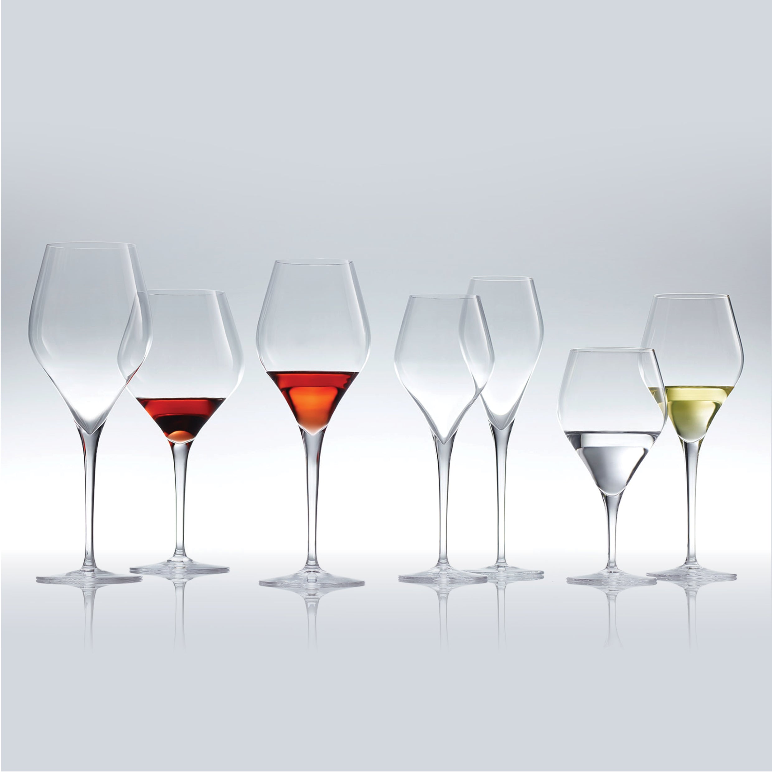 Finesse Champagne Glasses/Set of 6/298ml