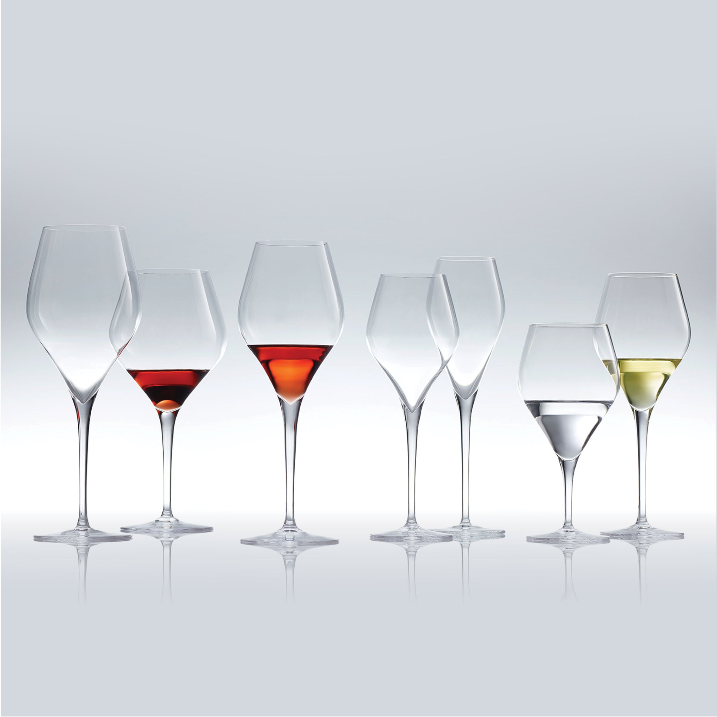 Finesse Chardonnay Glasses/Set of 6/385ml