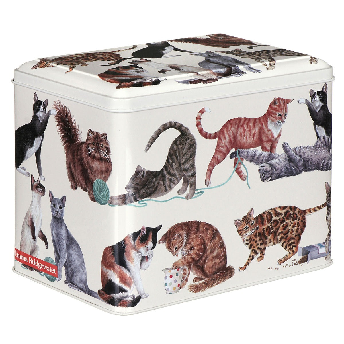 Hinged Cat Caddy Tin